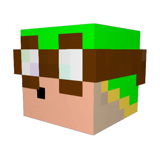 Quizzo Minecraft avatar head, 3D render