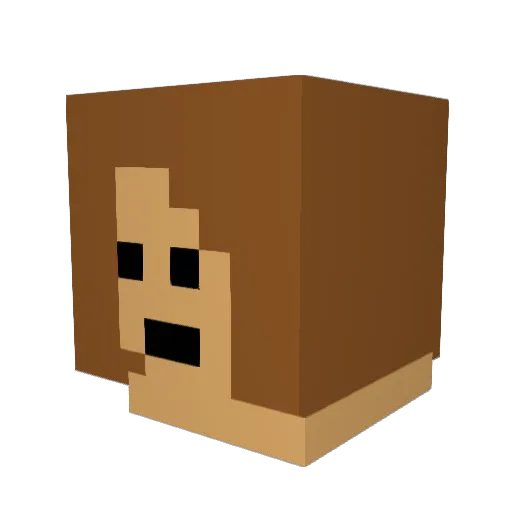 Quizzy368 Minecraft avatar head, 3D render