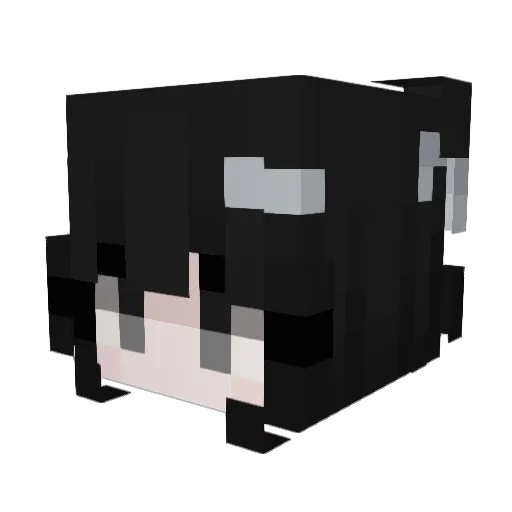 Qukajs Minecraft avatar head, 3D render