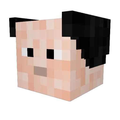 Qul1234 Minecraft avatar head, 3D render