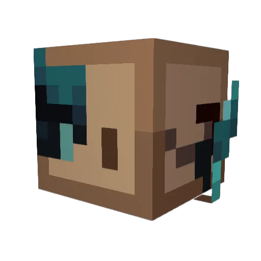 QuoPoncho Minecraft avatar head, 3D render