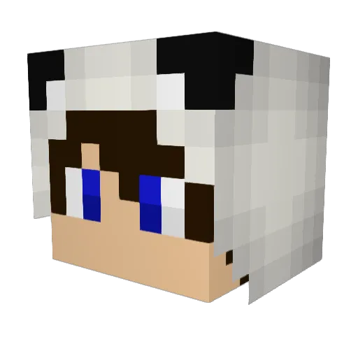 Quobo Minecraft avatar head, 3D render