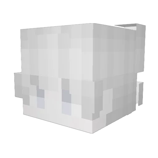 Quoccthhn Minecraft avatar head, 3D render