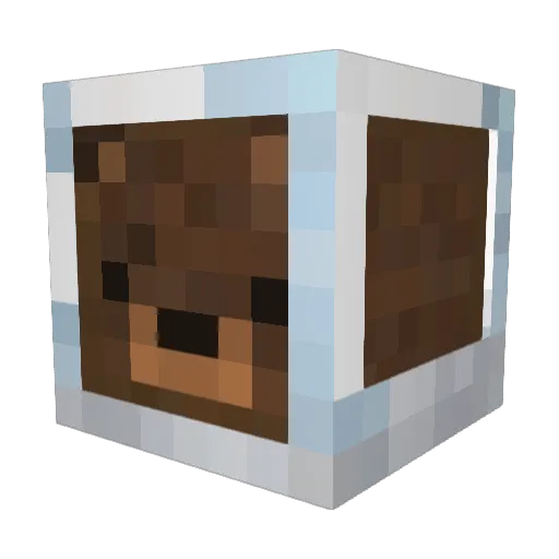 Quocki Minecraft avatar head, 3D render