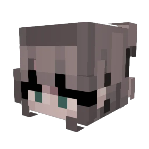 QuokaCoke Minecraft avatar head, 3D render