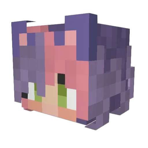 Quokka820 Minecraft avatar head, 3D render