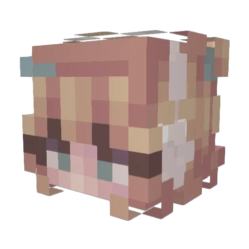 Quokka_Hailz Minecraft avatar head, 3D render