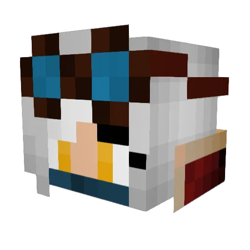 Quoll42 Minecraft avatar head, 3D render