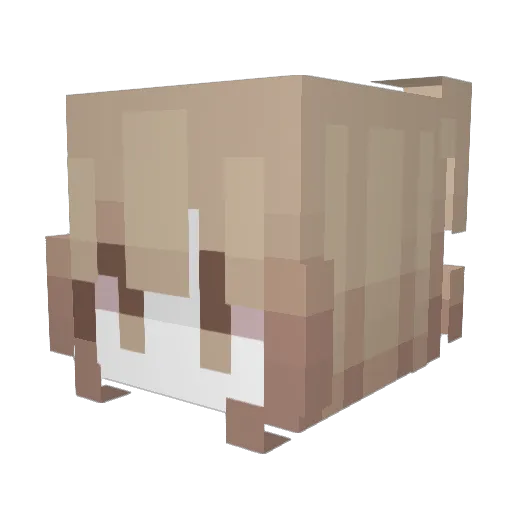 Quorgen Minecraft avatar head, 3D render
