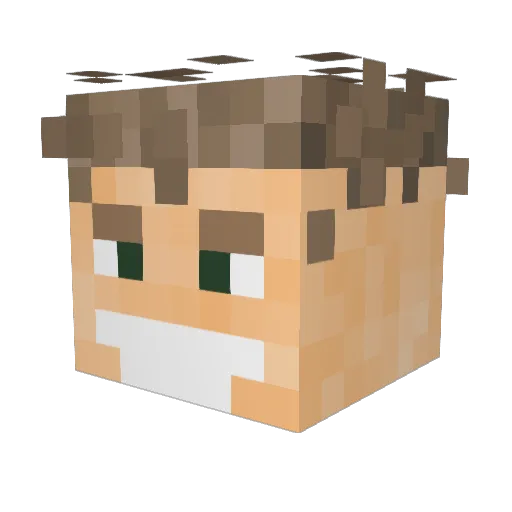 Quost Minecraft avatar head, 3D render