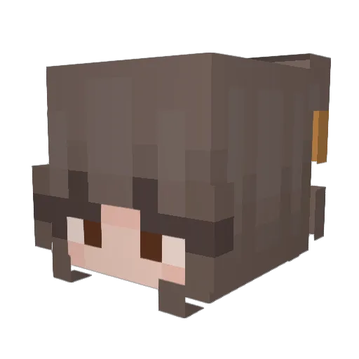 Quotentuerke01 Minecraft avatar head, 3D render