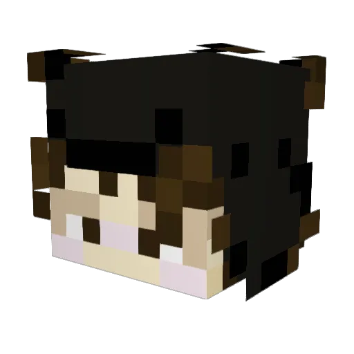 Quouuka Minecraft avatar head, 3D render
