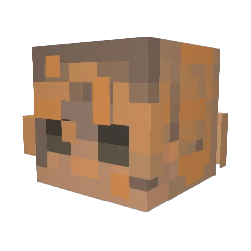 QuozyEXP Minecraft avatar head, 3D render