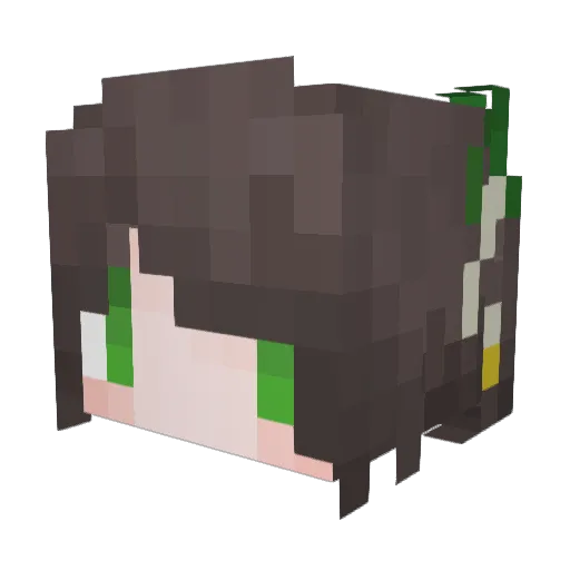 Ququer1226 Minecraft avatar head, 3D render