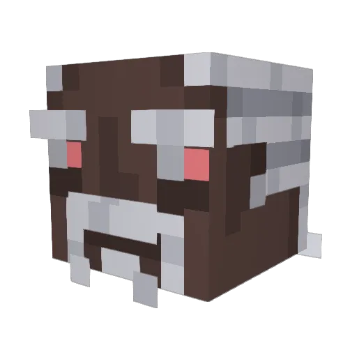 Quuix420 Minecraft avatar head, 3D render