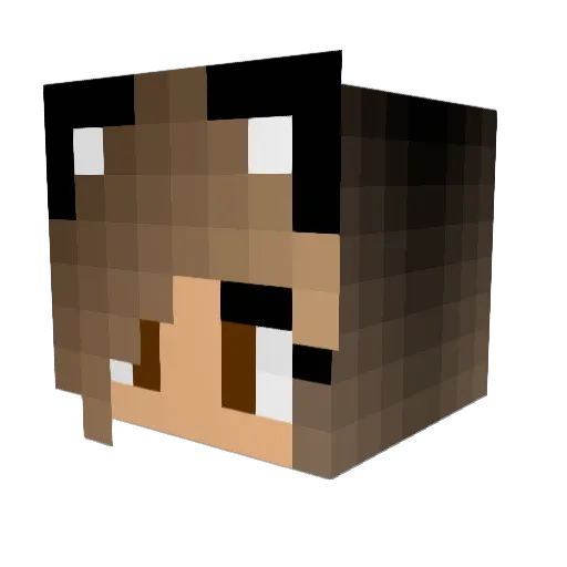 Qvacki Minecraft avatar head, 3D render