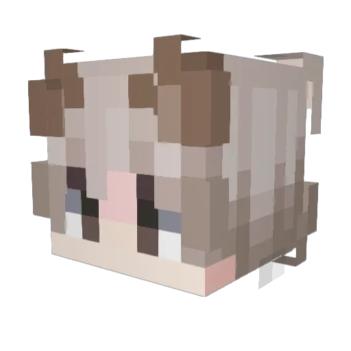 Qvyo Minecraft avatar head, 3D render