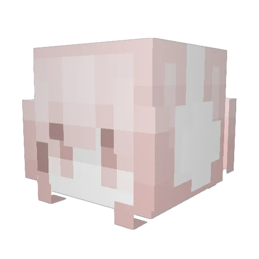 QwQ233Q Minecraft avatar head, 3D render