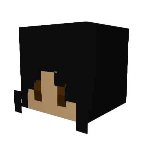 QwackNugget Minecraft avatar head, 3D render