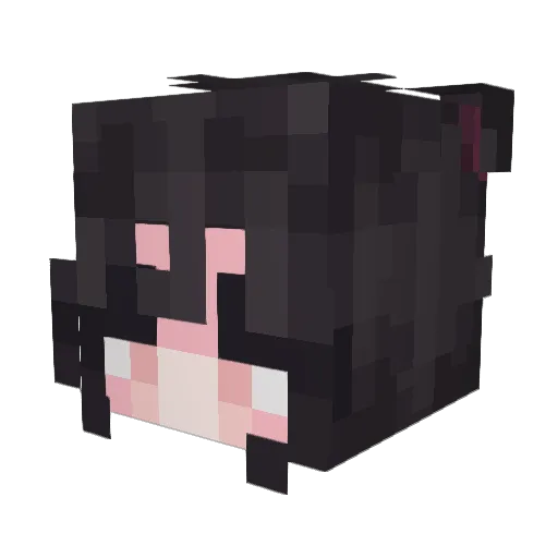 Qwaloo Minecraft avatar head, 3D render