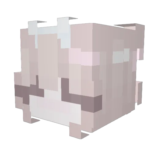 Qwent__ Minecraft avatar head, 3D render