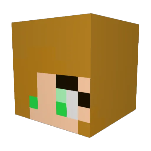 QwerkieNinja Minecraft avatar head, 3D render