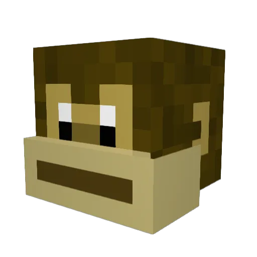 Qwertklo Minecraft avatar head, 3D render