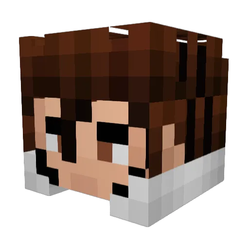 QwertyNitro Minecraft avatar head, 3D render