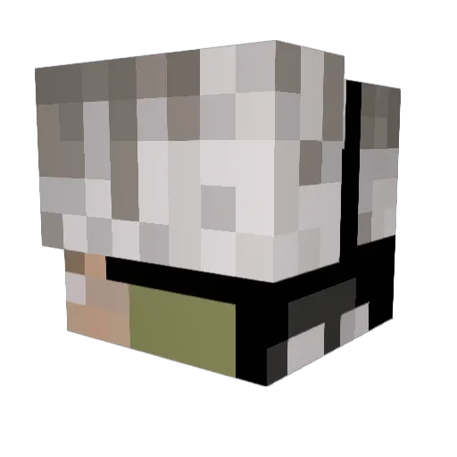 Qwerwolf Minecraft avatar head, 3D render