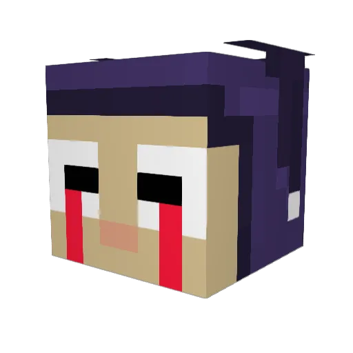 QwestyJesty Minecraft avatar head, 3D render