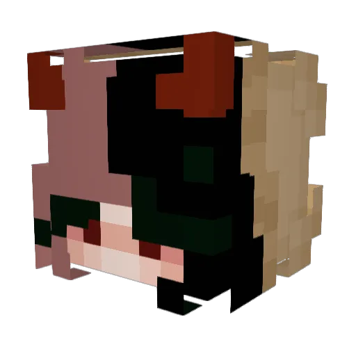 Qwikoo Minecraft avatar head, 3D render