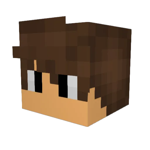Qwinzz Minecraft avatar head, 3D render