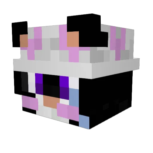 Qworoo Minecraft avatar head, 3D render