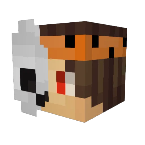 Qx_Sushiii Minecraft avatar head, 3D render