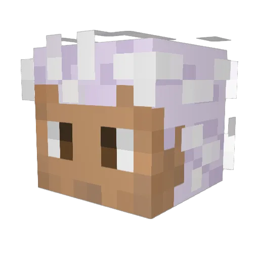 Qzai Minecraft avatar head, 3D render