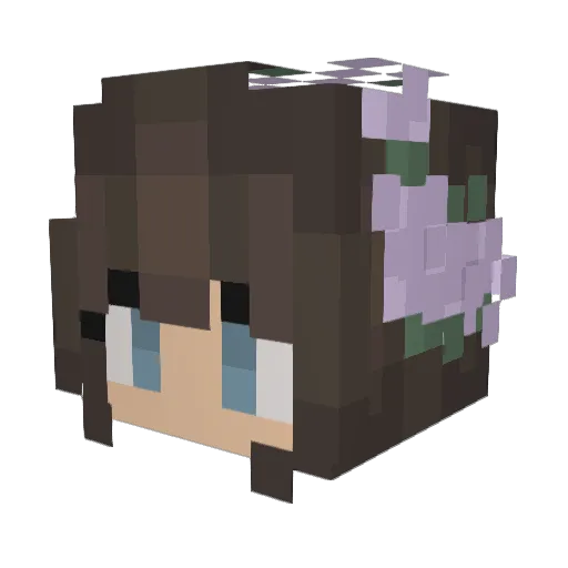R0054_ Minecraft avatar head, 3D render