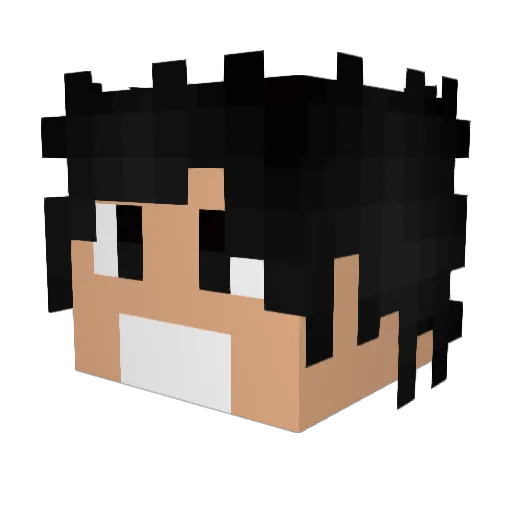 R00Kca Minecraft avatar head, 3D render