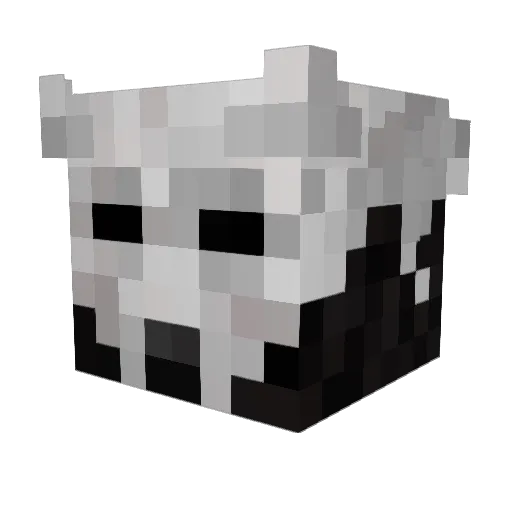R00obs Minecraft avatar head, 3D render