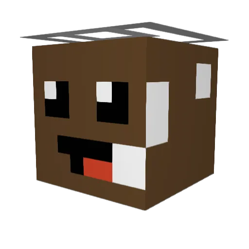 R00t_Beer Minecraft avatar head, 3D render