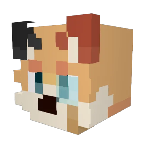R07er1 Minecraft avatar head, 3D render