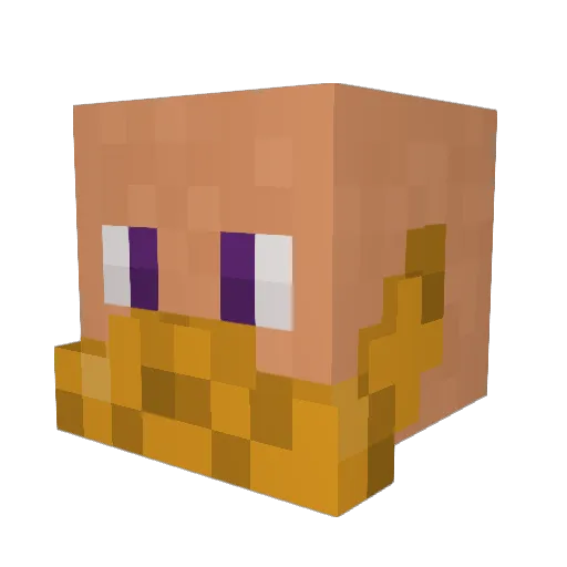 R0B3RT0SS Minecraft avatar head, 3D render