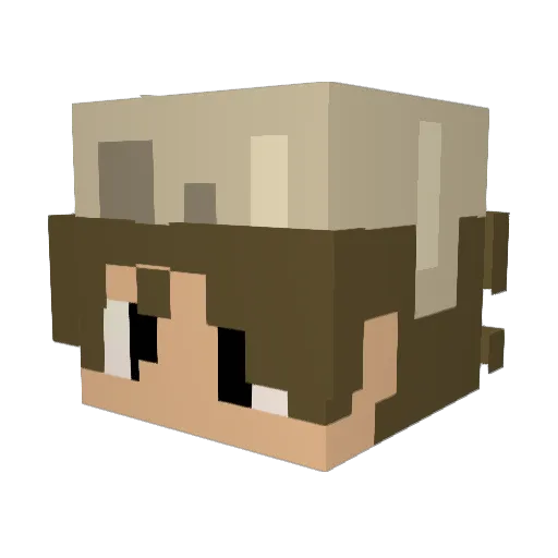 R0BiiN Minecraft avatar head, 3D render