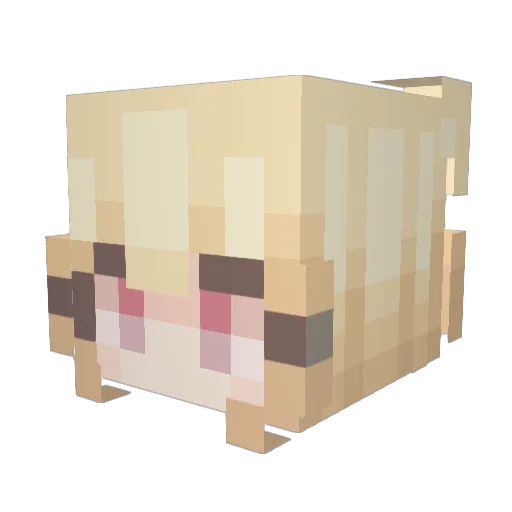 R0SEW00D Minecraft avatar head, 3D render
