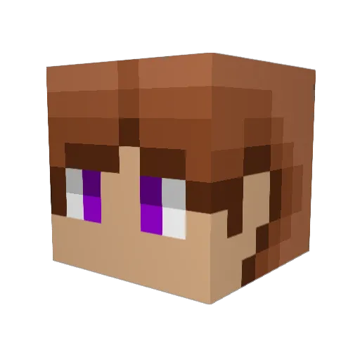 R0SH3R96 Minecraft avatar head, 3D render