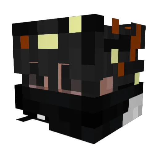 R0TK4R Minecraft avatar head, 3D render