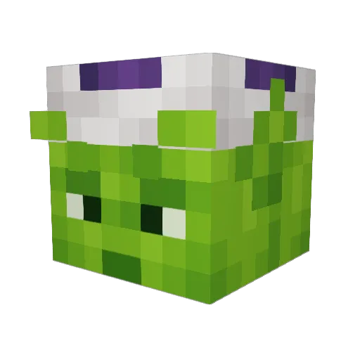 R0WSHAMB0 Minecraft avatar head, 3D render