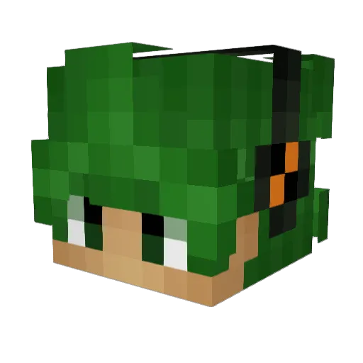 R0cK3TPr07 Minecraft avatar head, 3D render
