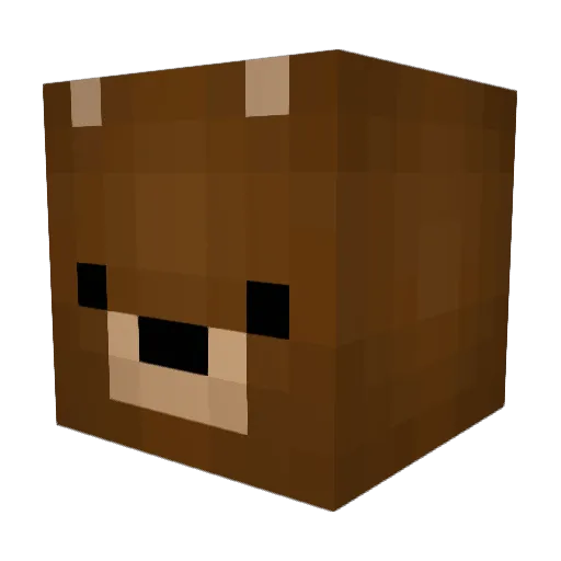 R0cks0l1D Minecraft avatar head, 3D render