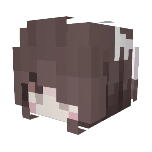 R0dina Minecraft avatar head, 3D render