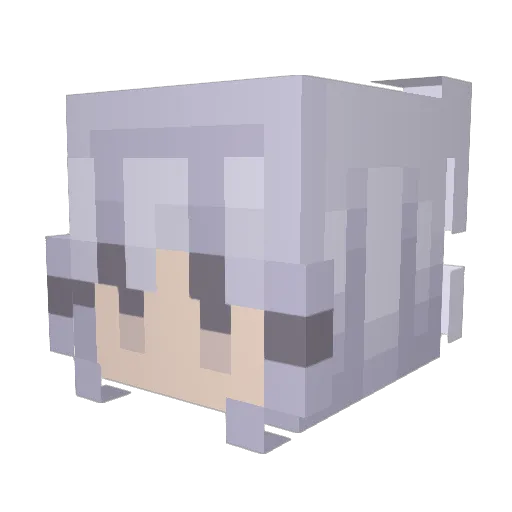 R0gue_N0va Minecraft avatar head, 3D render